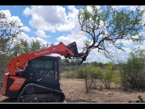 youtube west texas skid steer brush control|South Texas land clearing, mesquite tree and brush grubbing.